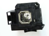 Philips Lamp in-Housing for NEC UM330M/UM330W Photo