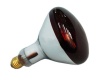 Kaufmann Chicken Sicca Thermo Lamp Globe - Par 38 Photo
