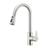Single Handle High Arc Pull Out Kitchen Faucet Photo
