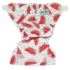 Bamboo Baby Newborn Nappy Cover Hook & Loop Waist - Watermelon Photo