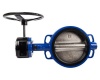 Agrinet Compact Cast Iron Gear 16B Butterfly Valve - 150mm Photo