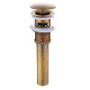 Pop-Up Bath or Sink Drain Stopper Photo