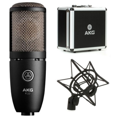 Photo of AKG P220 Project Studio Large Diaphragm Condenser Microphone