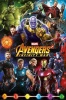 Avengers - Infinity Wars Characters Poster Photo