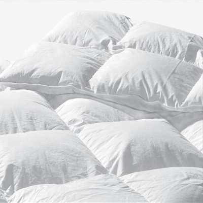 Photo of Miss Lyn Duck Feather/Down Duvet Inner Extra Thick
