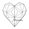 Heart Shape Grid Photo Wall Display Panel Photo