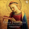 Ensemble Gilles Binc - Fons Lummis: Codex Las Huelgas Photo