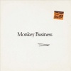 Maestro - Monkey Business Photo
