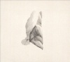 Jabu - Sleep Heavy Photo