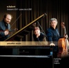 Elizabeth Hopkins - Schubert: Fantasie D 934/piano Trio D Photo