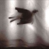 Marc Ostermeier - Tiny Birds Photo