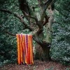 James Holden - Animal Spirits Photo