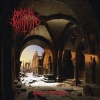 Obscure Infinity - Dawn Of Winter Photo