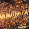 Calibro 35 - Decade Photo