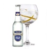 Hamiltons Gin & Tonic Case - 16 x 275ml Photo