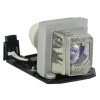 Philips Lamp in Housing for Optoma HD25-LV/HD30/HD30B Photo