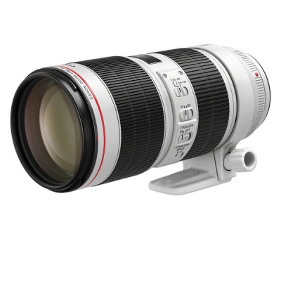 Photo of Canon EF 70-200mm f2.8L IS 3 USM Lens