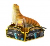 National Geographic Wildlife Wow! Ocean Figures - Fur Seal Photo