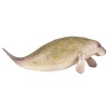 National Geographic Wildlife Wow! Ocean - Manatee Photo