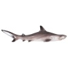 National Geographic Wildlife Wow! Ocean - Hammerhead Shark Photo