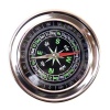 Steel Compass Photo
