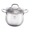 Berlinger Haus Stainless Steel Stock Pot 26cm - Silver Belly Photo