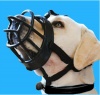 Dog Mouth Mask Photo