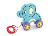 Viga Pull Aong Elephant Photo