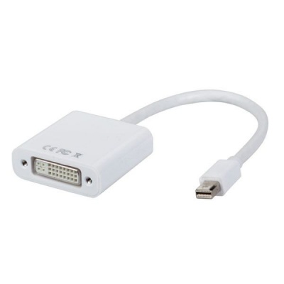 Photo of Baobab Mini Display Port To DVI Adapter Cable