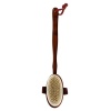 Bulk Pack x 5 Bath Basics Bristle Brush Wooden Handle 42cm. Photo