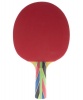 Medalist Control Table Tennis Bat Photo