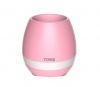 Musical Flower Pot Photo