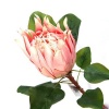 Pamper Hamper - Artificial Protea Photo