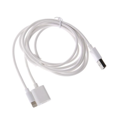 Photo of Apple 2" 1 USB Charging Cable for Pencil