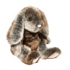 Douglas Lux Bunny Photo