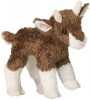 Douglas Buffy Baby Goat Photo