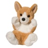Douglas George Corgi Handful Photo