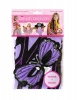 Dreamy Dress Ups Mask & Wing Burst Butterfly Purple Photo