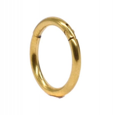 Photo of Steel My Heart Hinged Segment Hoop Ring - Gold 10mm