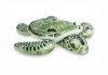 Intex - Ride-On Real Turtle - Green Photo