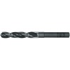 Alpen HSS Twist Drill 21mm 159X86mm Reduced Shank 12 7 mm Photo