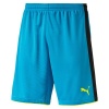 Puma Men's Tournament Goalkeeper Shorts Photo