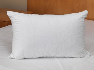 Photo of Dreyer Premium 100% Cotton Fibre Puff Pillow - Standard