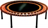 Medalist Bungee Rebounder Photo