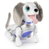 Zoomer Wiener Dog - Playful Pup Photo