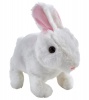 Pitter Patter Teeny Weeny Bunny - White Photo