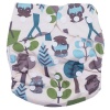 Fancypants Microfibre Cloth Nappy - Forest Photo