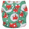 Fancypants All-In-One Cloth Nappy - Foxy Photo