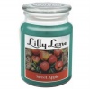Apple Lilly Lane Sweet Scented Candle Large Glass Jar Photo