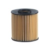 Oil Filter - LANDROVER Range Rover 3 - 3.0 TD6 Photo